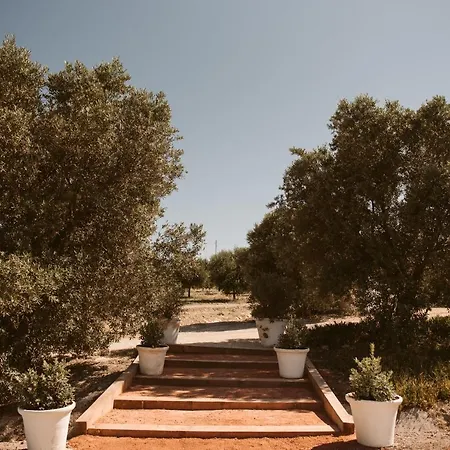 La Carreña Hotel Jerez de la Frontera
