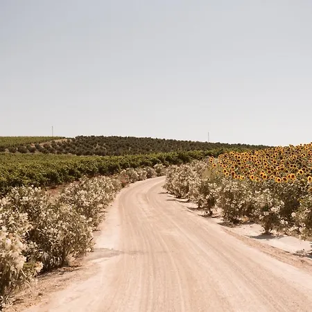 La Carreña Jerez de la Frontera